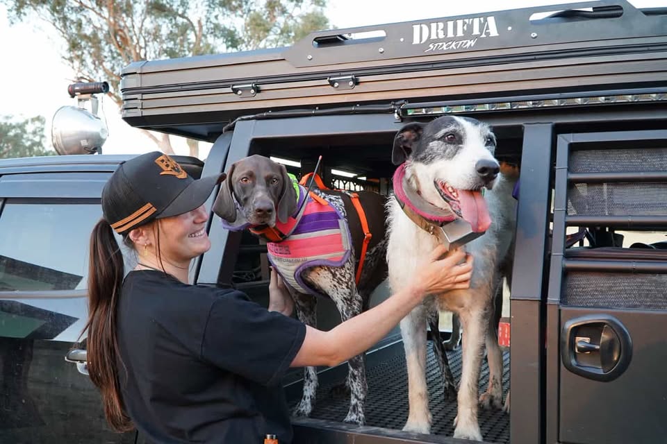 Liv with her hunting dogs and her ute