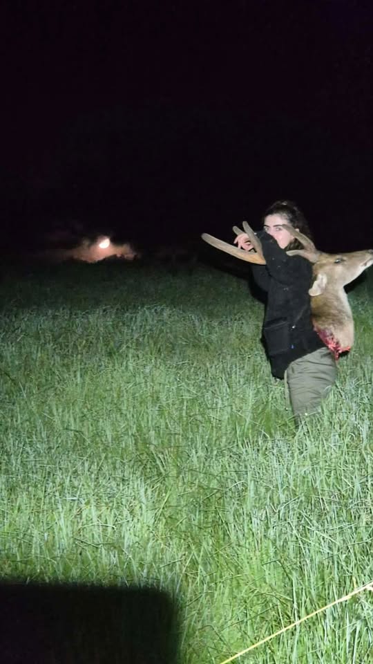 Melissa's daughter carrying a deer through a paddock at night