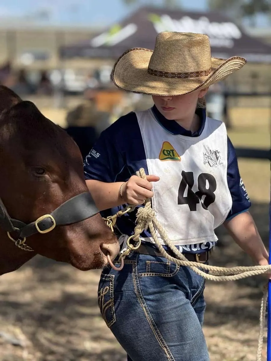 Charleigh in the cattle yards in her show gear, leading a beast by the halter